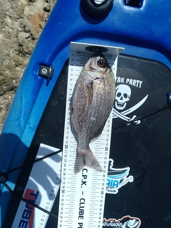 Fish Measure Picture